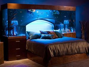 image for Cool Fish Aquarium In Your Bedroom