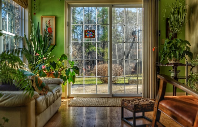 A living room with many house plants and windows